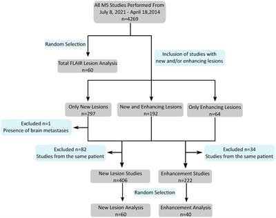 3D U-Net for automated detection of multiple sclerosis lesions: utility of transfer learning from other pathologies